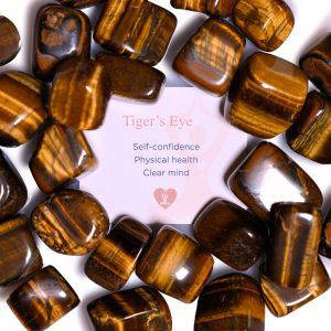 Tigers Eyes